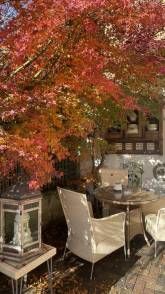 Bea‘s Ferienglück