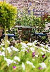 Mosel Ferienwohnung im Weingut Borchert – Springiersbacher Hof