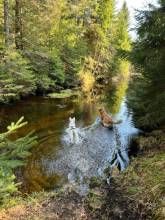 Ferienwohnung Tannenduft