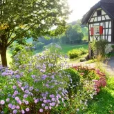 Vogtbenedikthof im Schwarzwald