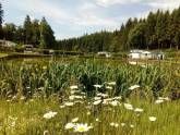 Camping La Hêtraie