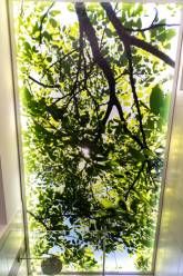 Ferienwohnung Sonnenblick - Oberer Gurethof