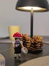 Apartment Fuchsbau Unterkirnach