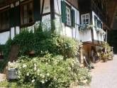 Ferienwohnung Vier Jahreszeiten Idyll
