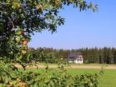 Ferienwohnung beim Falkner