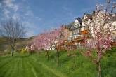 Waldecks Moselparadies in Traumlage ganz nah an der Mosel