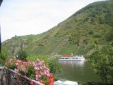 Aufwachen mit Moselblick Aufwachen mit Moselblick
