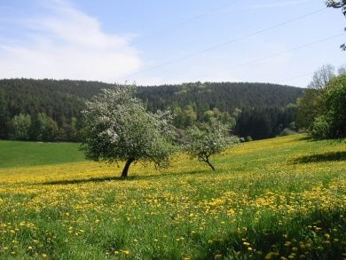 Hoschbachhof - Zentral im Odenwald - Bauernhofurlaub