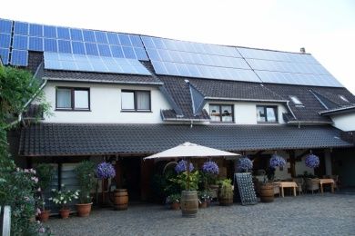 Weingut & Gästehaus Jörg & Georg Mühlmichel - Pfalz