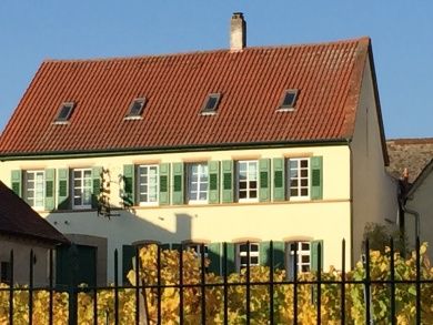 Weingut Gabel & Ferienwohnung  Deutsche Weinstrasse