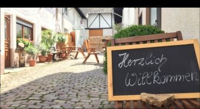 FamilienWeingut Feser mit Vinothek, ****Ferienwohnungen & Erlebnis