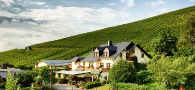 Idyllisch mitten in den Weinbergen