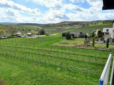 Renovierte, große 3-Sterne Ferienwohnung (DTV-Klassifizierung) im Winzerhaus, mit Blick in Natur und Weinberge, für 2 - 4 Personen geeignet.