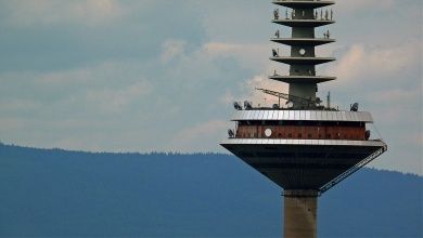 Fernsehturm in wäldlicher Idylle