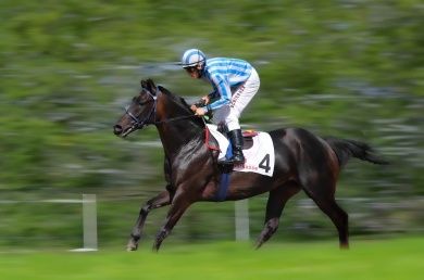 Galopprennbahn Baden-Baden