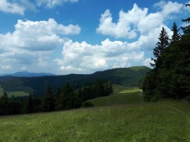 Ferienwohnungen Bernau Dorf