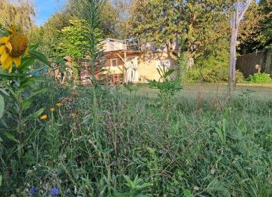 Tiny House Schwarzwald