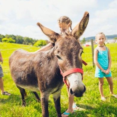 Camping und Ferienpark Orsingen