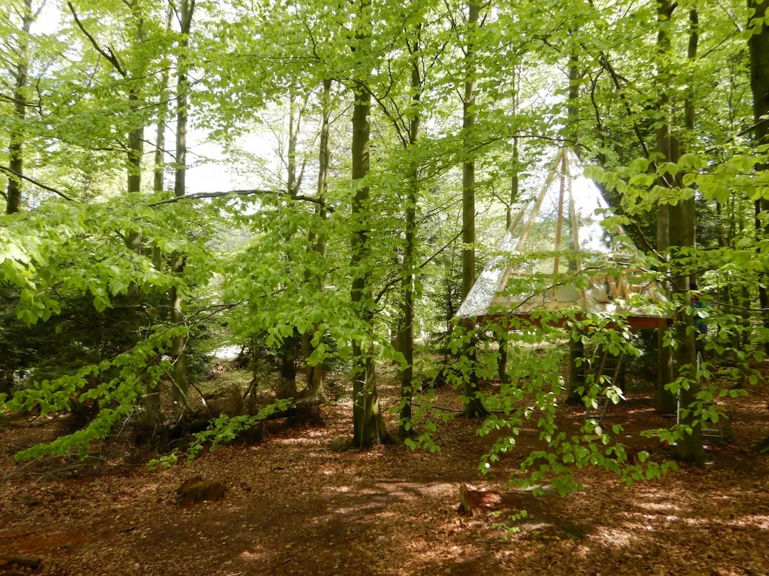 Ferienhaus Bad Herrenalb Talwiese