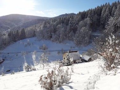 Ferienwohnung Sommerbergparadies