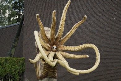 Urweltmuseum Bodmann