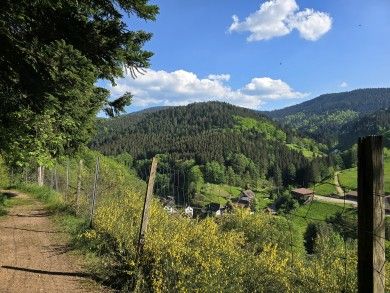 Ferienwohnung Schwarzwaldsteig