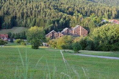 Ferienwohnungen Black Forest Experience