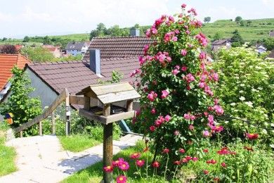 Ferienwohnung Fleck