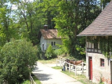 Ferienwohnung Dachsmühle - Natur und Tiere - Toll für Kinder und Wanderer. Hunde erlaubt