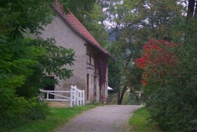 Ferienwohnung Dachsmühle - Natur und Tiere - Toll für Kinder und Wanderer. Hunde erlaubt