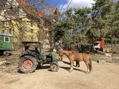 Ferienwohnung Dachsmühle - Natur und Tiere - Toll für Kinder und Wanderer. Hunde erlaubt