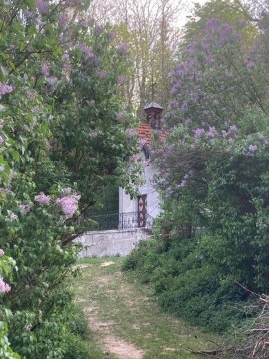 Ferienwohnung Dachsmühle - Natur und Tiere - Toll für Kinder und Wanderer. Hunde erlaubt