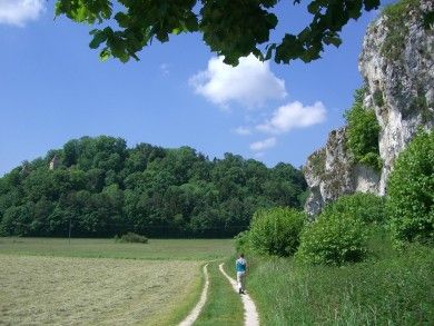 Burgruine Kaltenburg