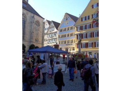 Ferienwohnung Epple in Tübingen am Neckar