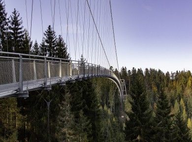 WILDLINE Hängebrücke