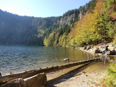 Wildsee