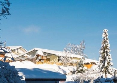 Ferienhaus Apfelbäumchen Hochschwarzwald