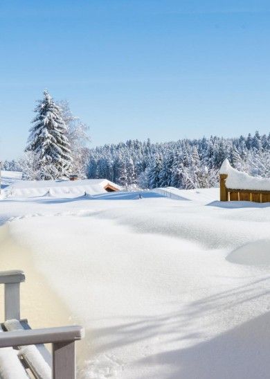 Ferienhaus Apfelbäumchen Hochschwarzwald