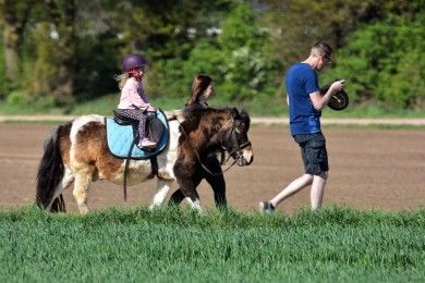 Ponyhof und Märchenpark Zwergental