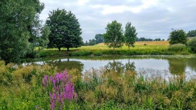 Schopflocher Moor