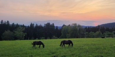 Backhäusle Tiefenacker