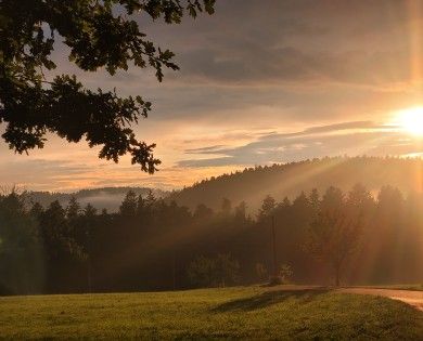 Backhäusle Tiefenacker