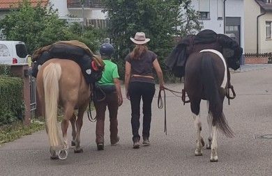 Wanderreiten auf der Schwäbischen Alb