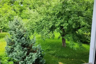 Im Baumgarten (große FeWo in Eriskirch)