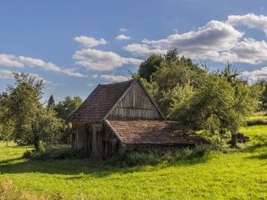 Ferienhaus Trollblume 2