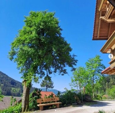 Pension Bäuerle Hof