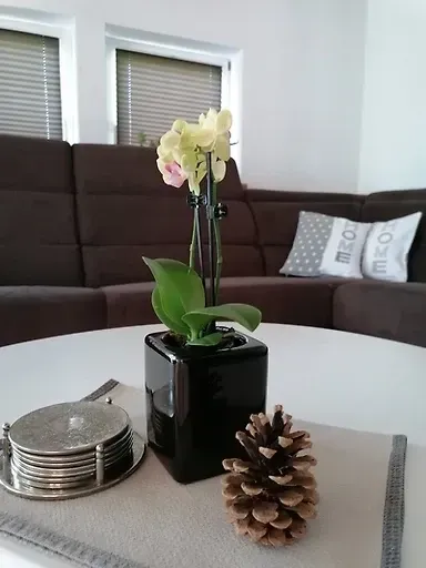 Ferienhaus Kiess