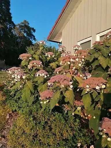 Ferienhaus Kiess