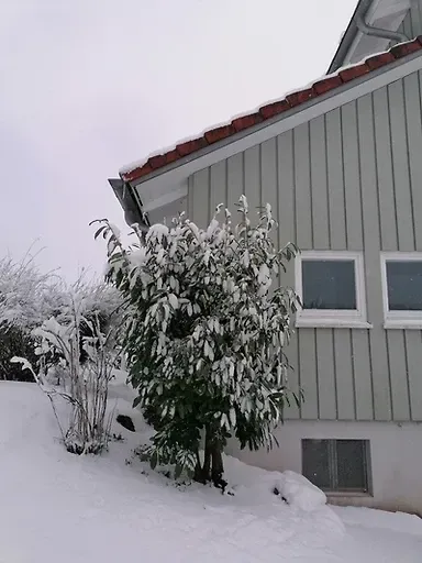 Ferienhaus Kiess