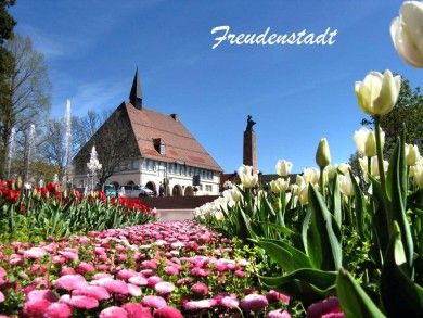 Ferienwohnung Landhaus Seiler